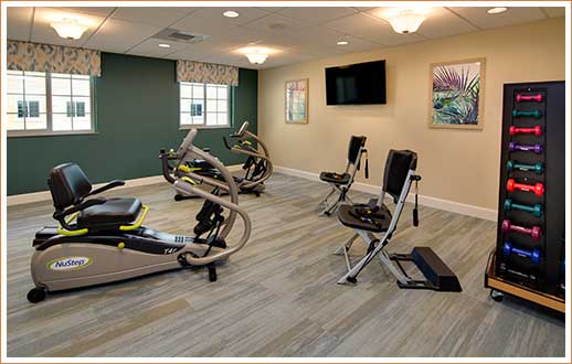 Interior view of workout room. Exercise machines.